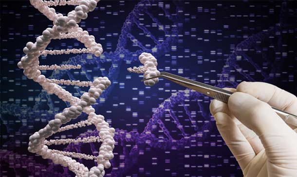 NC TraCS Clinical and Translational Science (CTS) Research Program