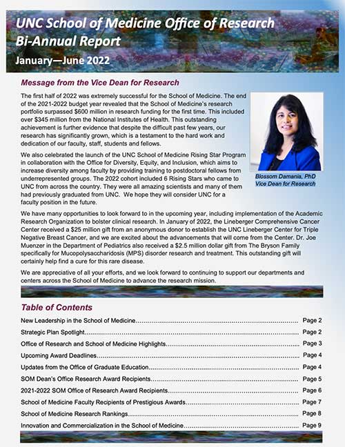 screenshot of SOM bi-annual report 2002 1st half